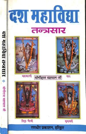 दश महाविद्या तंत्र सार  | Dash Mahavidhya Tantra Saar by 